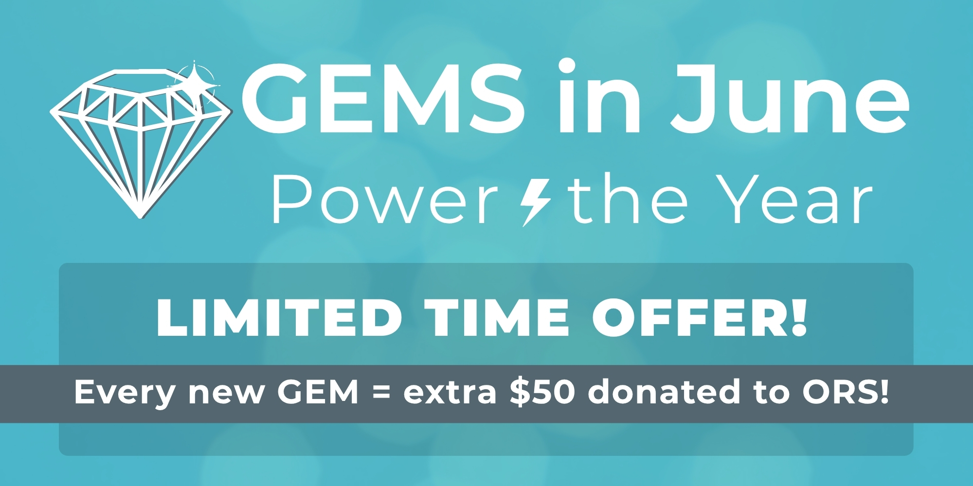 CRM%20Donation%20Form%20v5.jpg